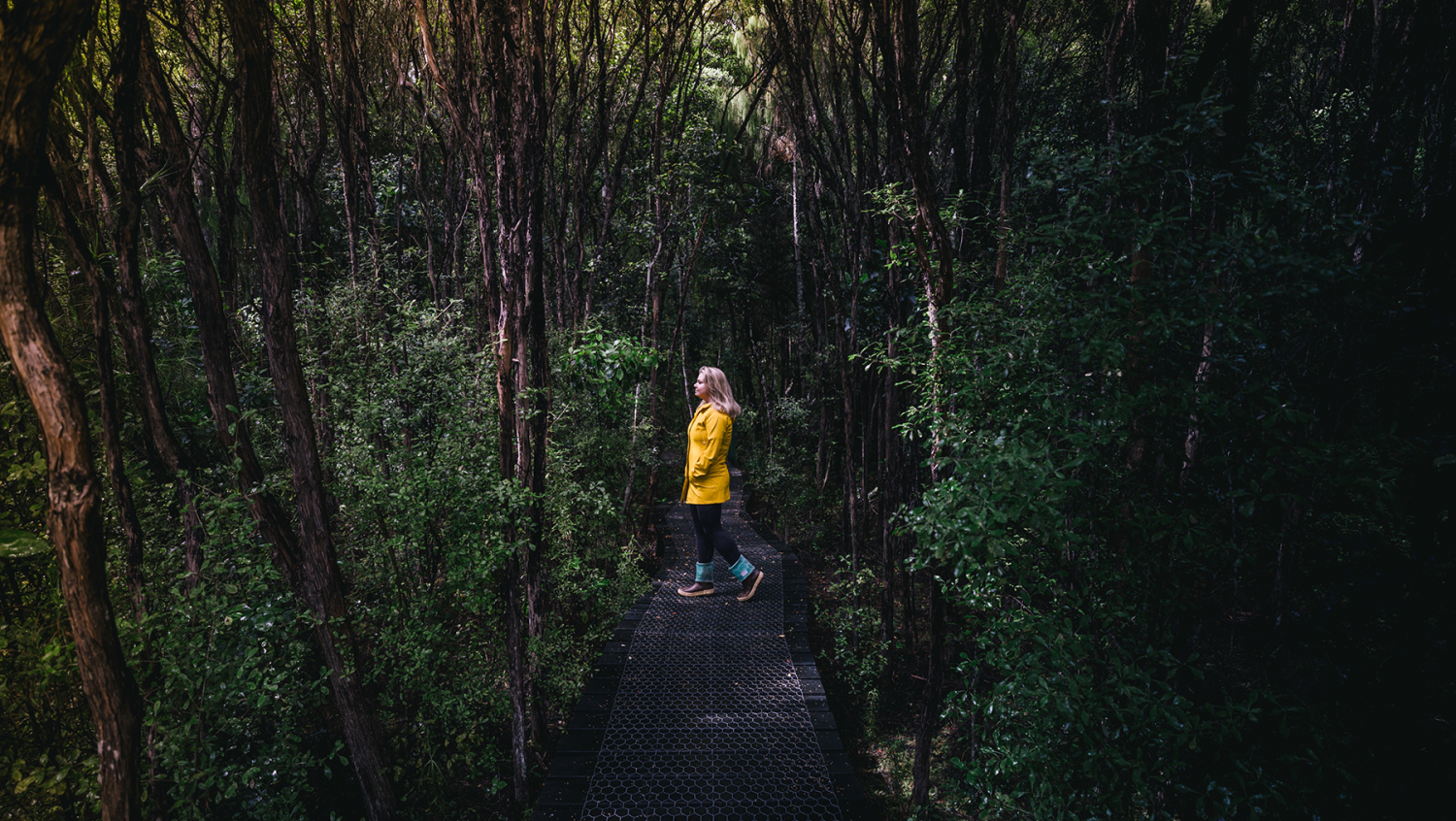 Image for An untouched wonder - The Catlins