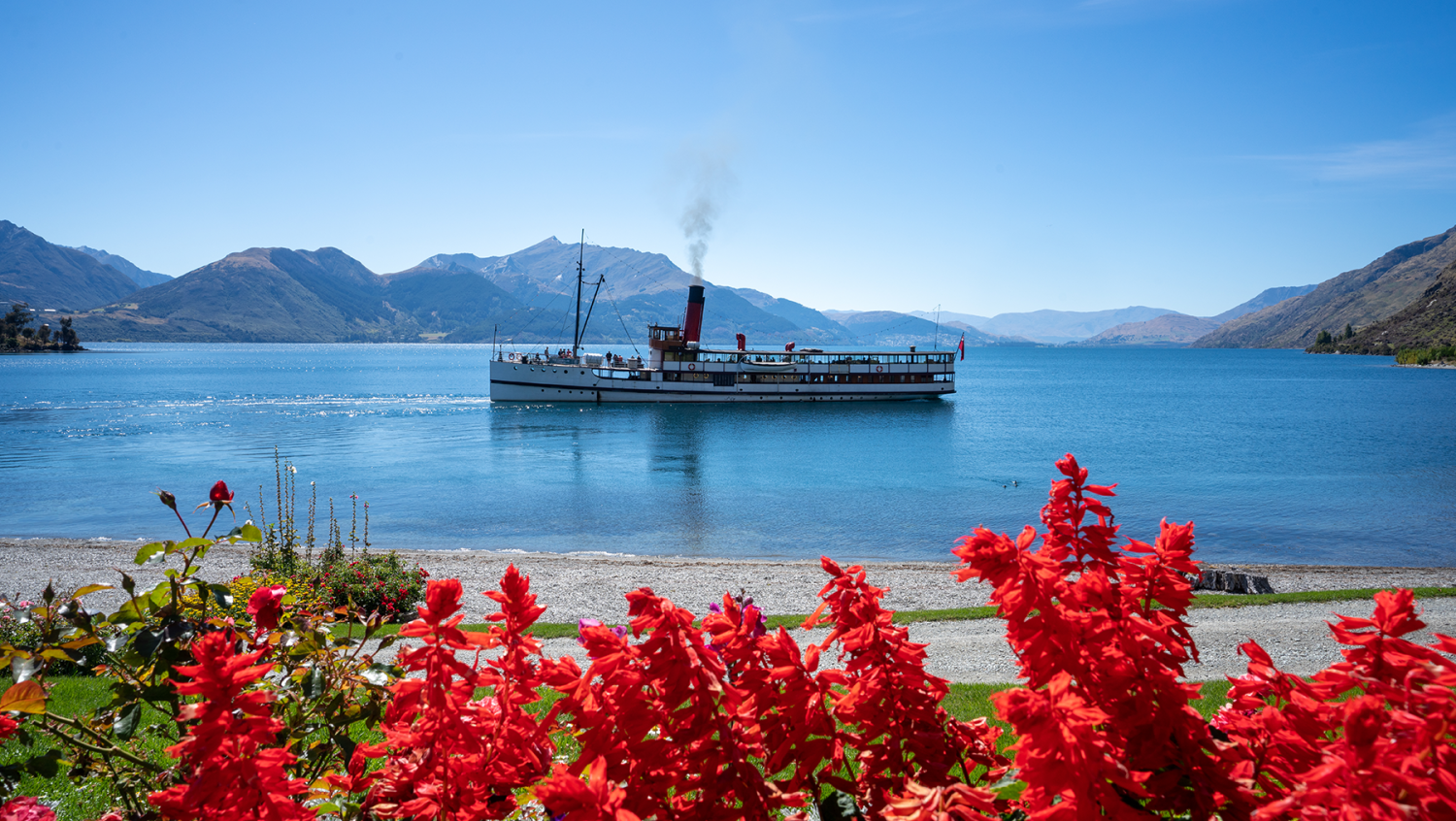 Image for 10 ReasonNZ why you should travel on our Best of the South Island tour