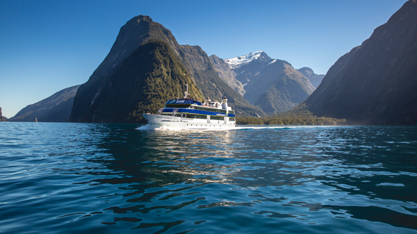 milford sound cruise and lunch