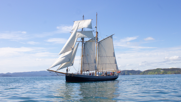 Image for Tall Ship Sailing - Day Sail