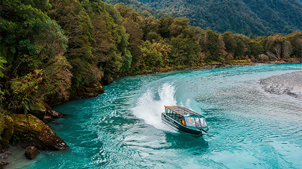 Image for Haast River Safari