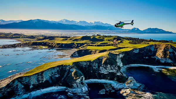 Image for Helicopter Whale Watching