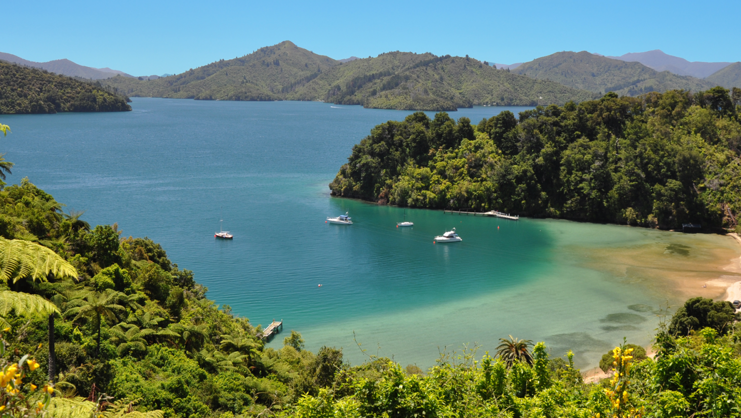 Image for Marlborough - How's the serenity!