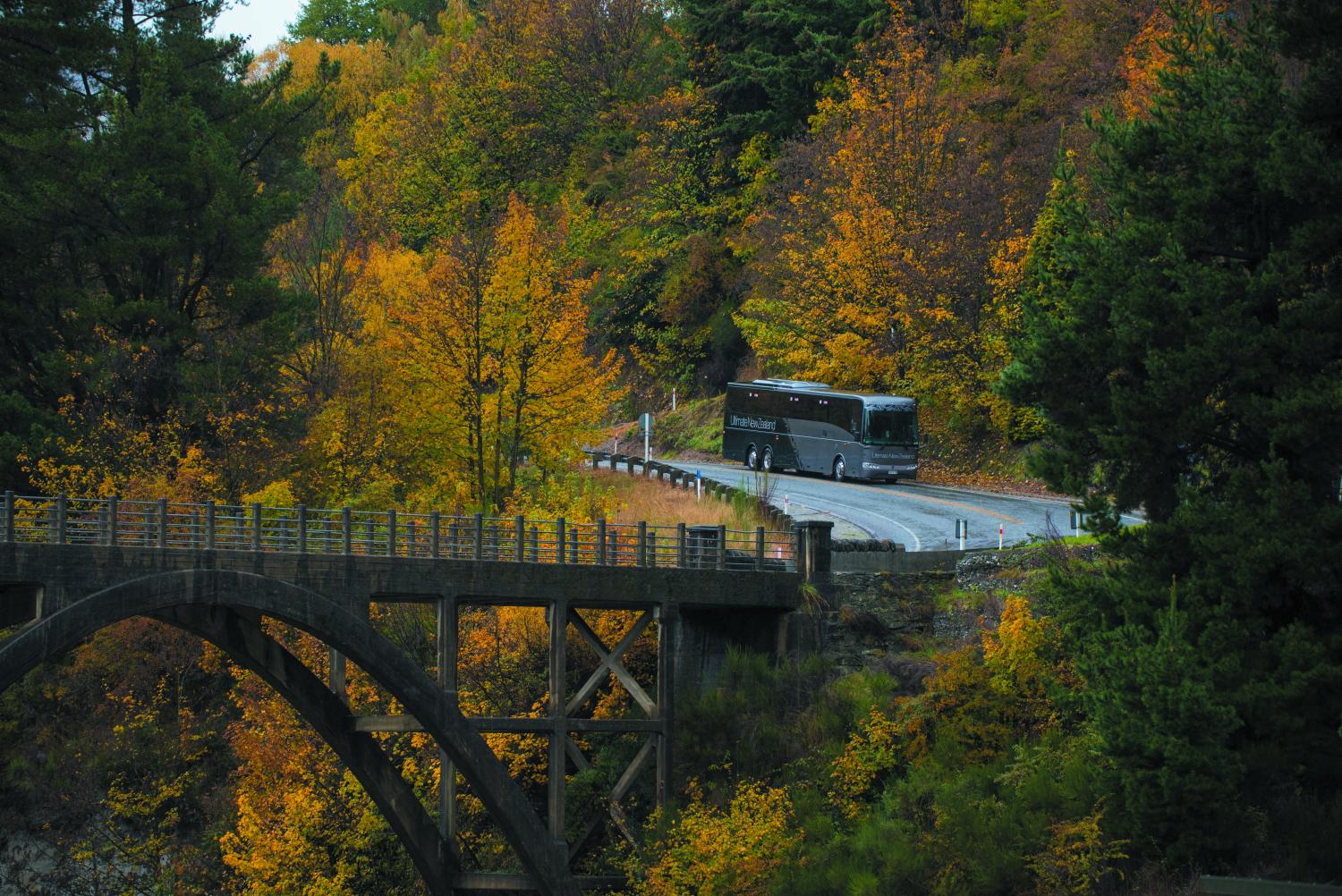 Image for Autumn in New Zealand Guide